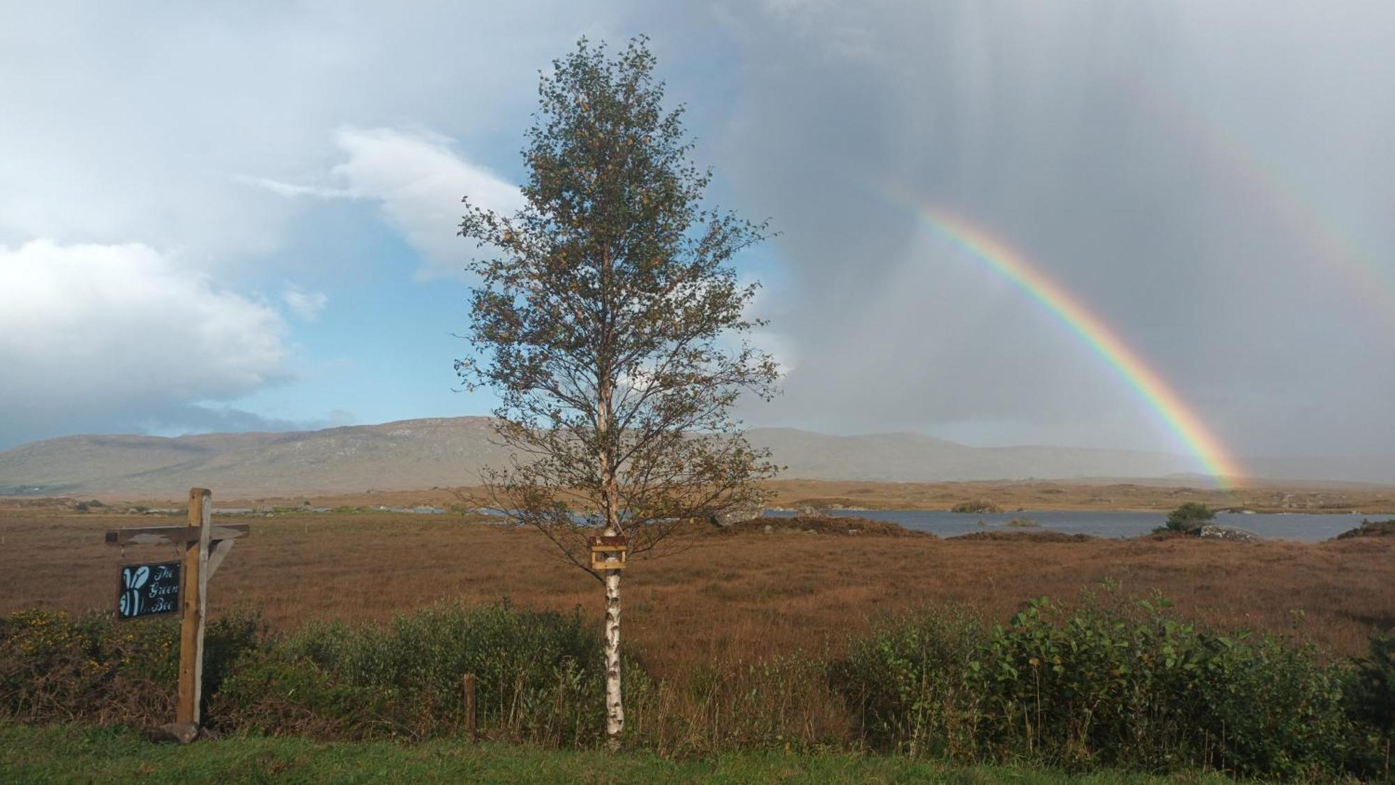 Connemara Lake View Apartment Camus Eighter Buitenkant foto