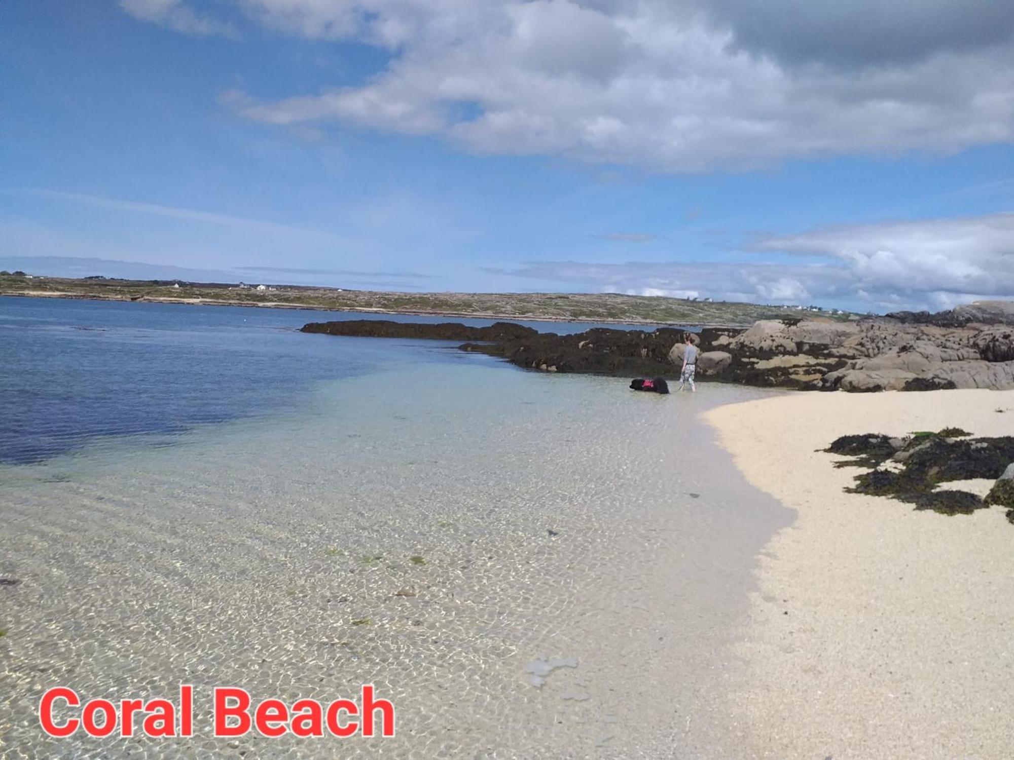 Connemara Lake View Apartment Camus Eighter Buitenkant foto