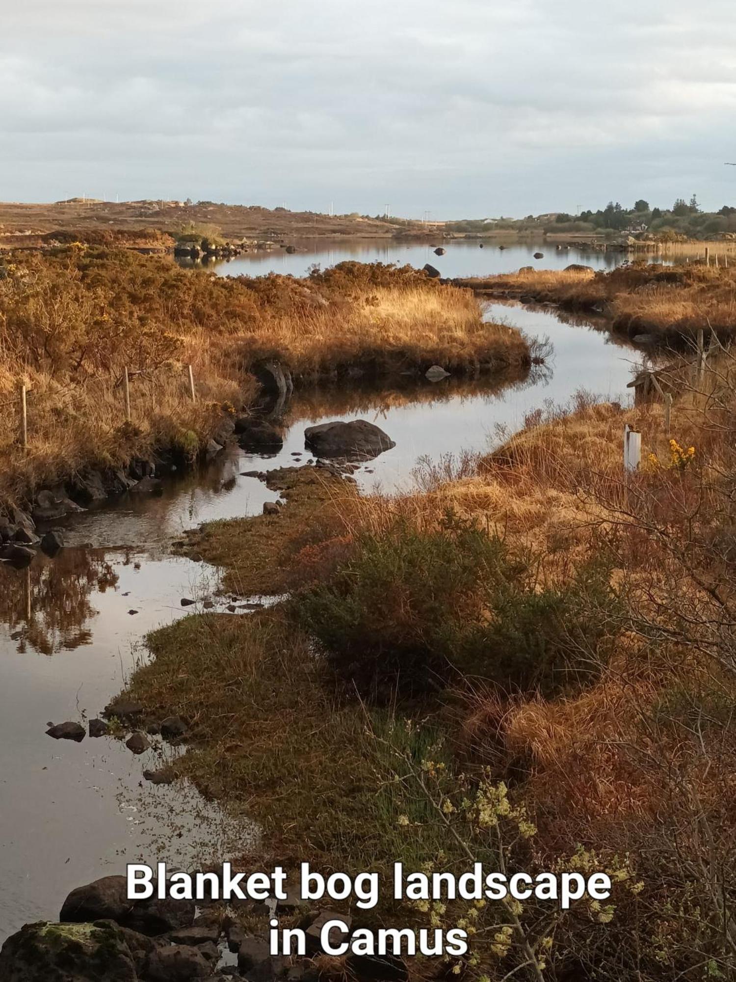 Connemara Lake View Apartment Camus Eighter Buitenkant foto