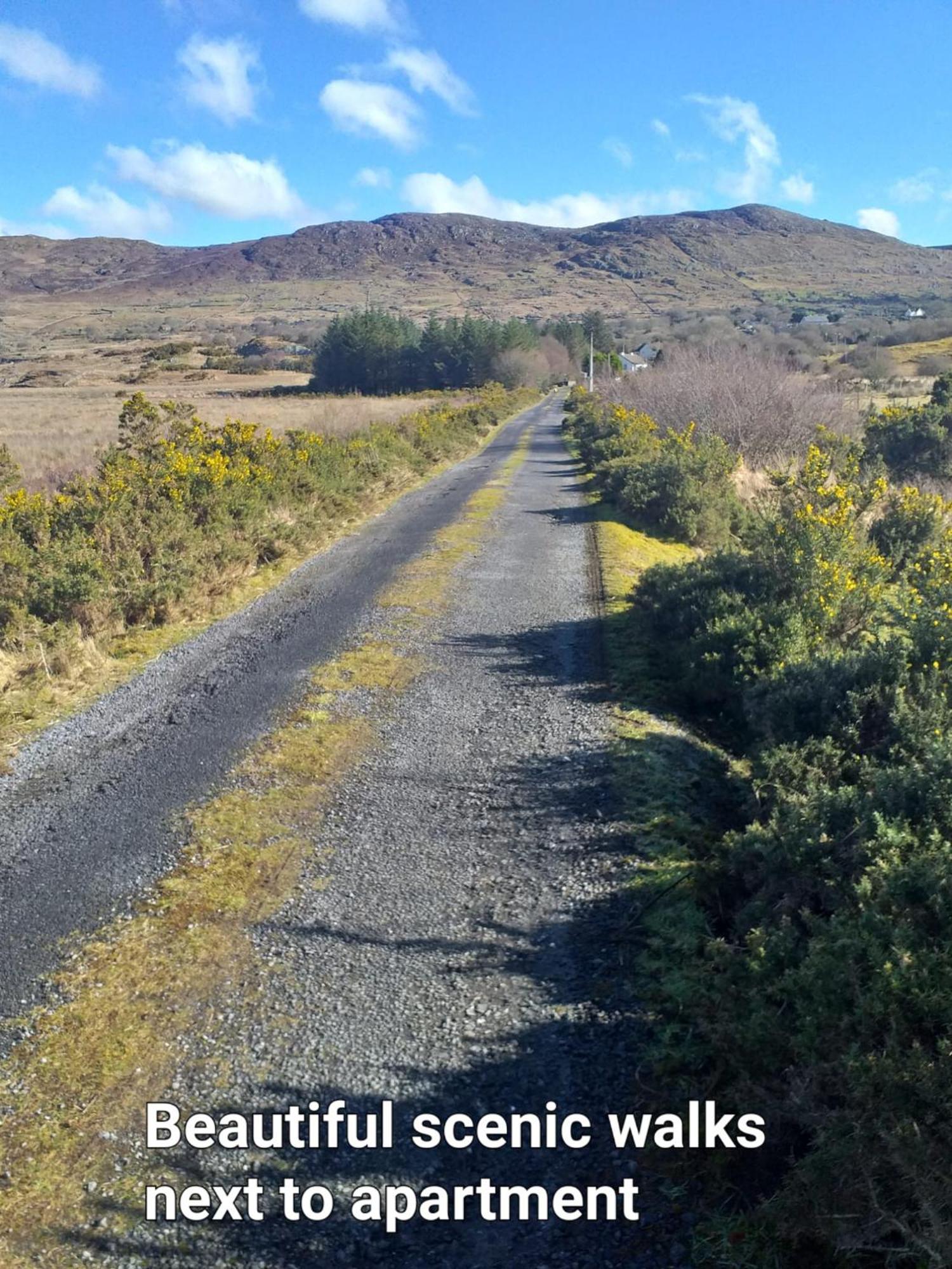 Connemara Lake View Apartment Camus Eighter Buitenkant foto
